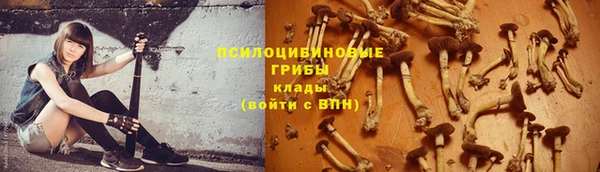 спиды Баксан