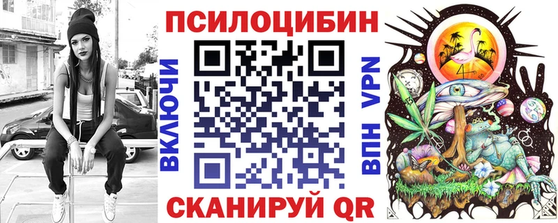 shop как зайти  Козельск  Псилоцибиновые грибы Magic Shrooms  где купить наркоту 