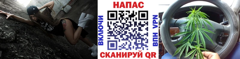 как найти закладки  Козельск  Шишки марихуана семена 